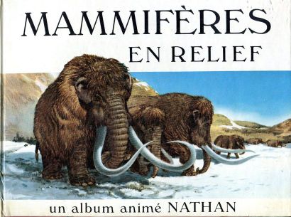 Préhistoire en relief. Un album animé. Mécanismes...