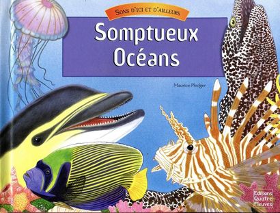 Préhistoire en relief. Un album animé. Mécanismes...