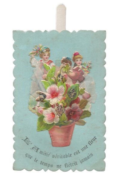 « L’Amitié véritable est une fleur que le...