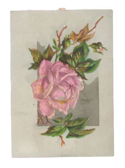 « L’Amitié véritable est une fleur que le...