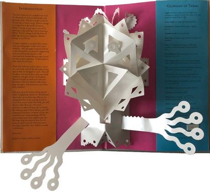 BIRMINGHAM (Duncan). – Pop-Up Design and...