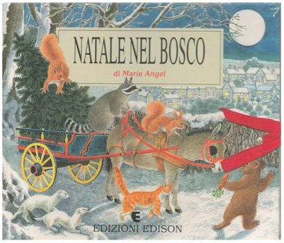 Animal Families. A kaleidoscope Book. Child's...
