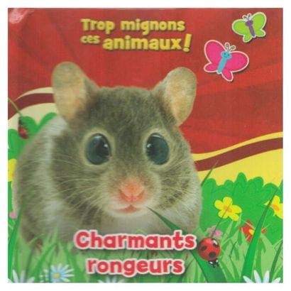 Le coffret de Noël de Petit Ours. – Paris :...