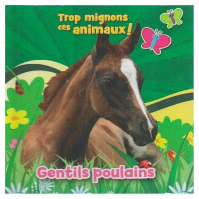 Le coffret de Noël de Petit Ours. – Paris :...
