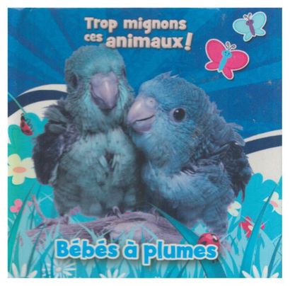 Le coffret de Noël de Petit Ours. – Paris :...