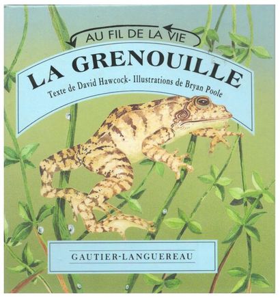 Si j'étais… Un Pilote. Ill. Linda Hill Griffith....