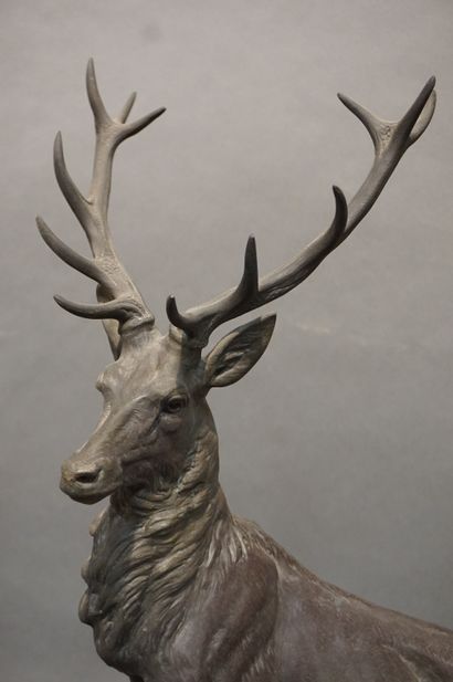 Régule: 