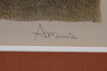 ARAMA
