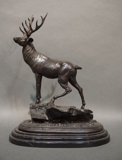 Bronze: 