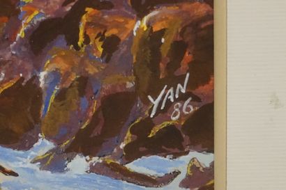 YAN

