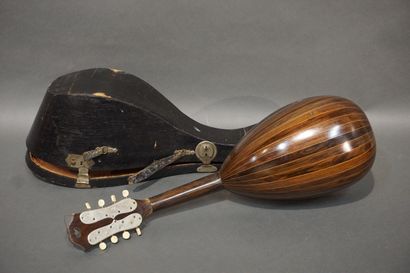 Mandoline Phébé dans son étui. 61 cm