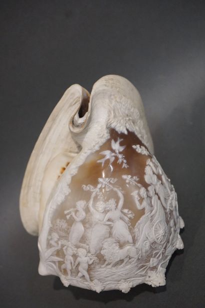 Deux coquillages sculptés en camée de scènes...