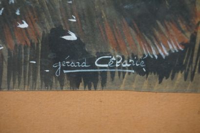 Gérard CELARIE
