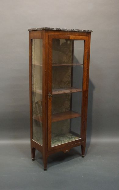 Mahogany veneered display case with grey...