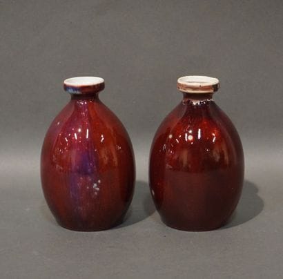 Sèvres
Paire de vases en porcelaine de Sèvres,...