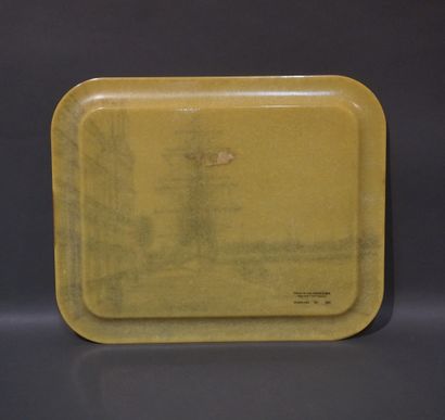 Plateau en fibre de verre d'après Carzou....