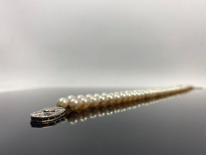 Collier de perles de culture à deux rangs,...