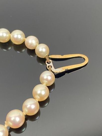 Collier de perles de culture à deux rangs,...