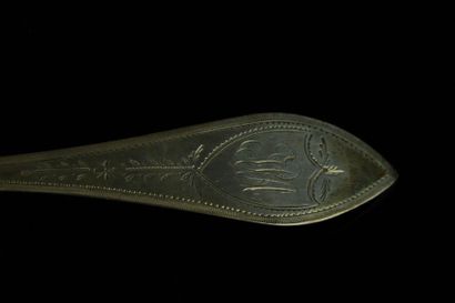 Cuillère à saupoudrer en argent, le cuilleron...