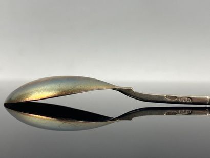 Suite de douze cuillères à moka en argent.

Travail...