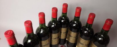 8 bottles CHÂTEAU BRANE CANTENAC - 2é Gcc...