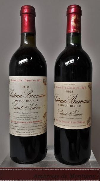 2 bottles: 
CHÂTEAU BRANAIRE DUCRU -3é Gcc...