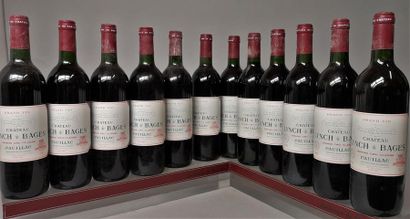 12 bottles CHÂTEAU LYNCH BAGES - 5é Gcc Pauillac...