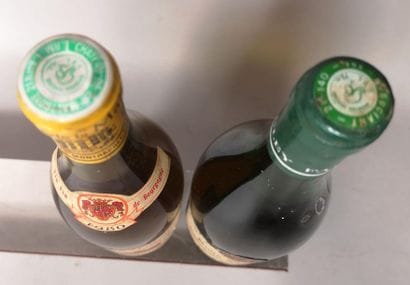 3 bottles WHITE WINES OF BURGUNDY:
- 1 bottle...