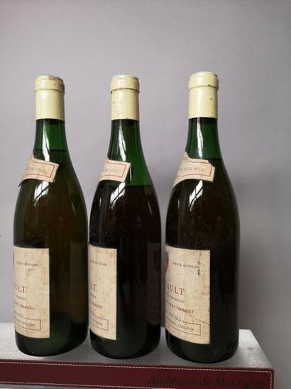 3 bottles MEURSAULT - Domjean MONNIER 1970...