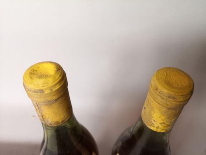 2 bottles MEURSAULT - G. COCHE-BOULICAULT...