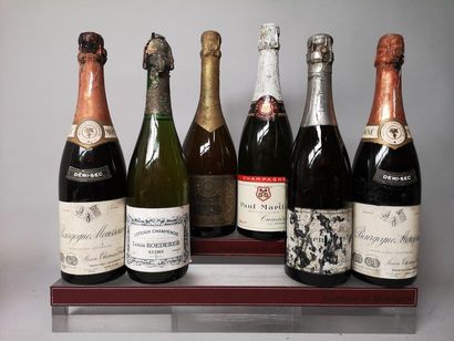 6 bottles CHAMPAGNES and WINES CHAMPENOISE...