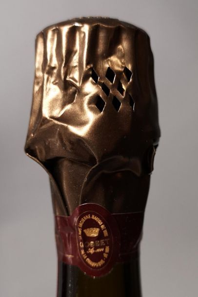 1 bottle CHAMPAGNE GOSSET 