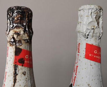2 bottles CHAMPAGNE MUMM Cordon Rouge nm...