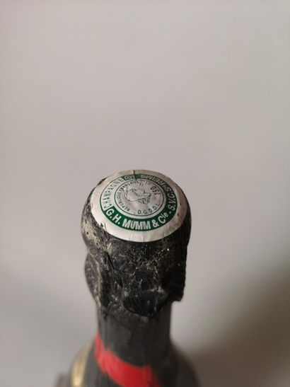 1 magnum CHAMPAGNE MUMM Cordon Rouge 1988...