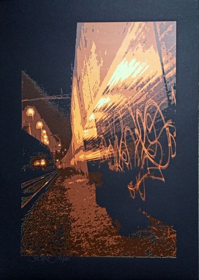 SWET (XX)

Night action, 2010

Silkscreen...