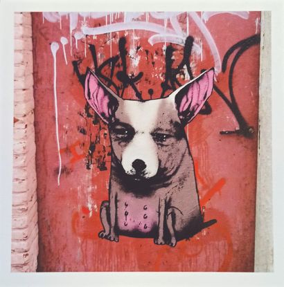 DRAN (1979)

Pitbull

Print on paper

Stamp...