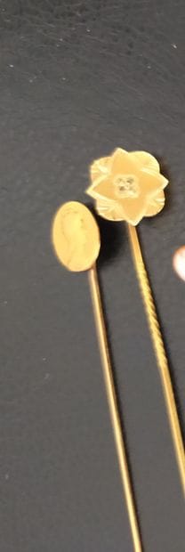 Lot en or 18k (750e), composé de 3 épingles...