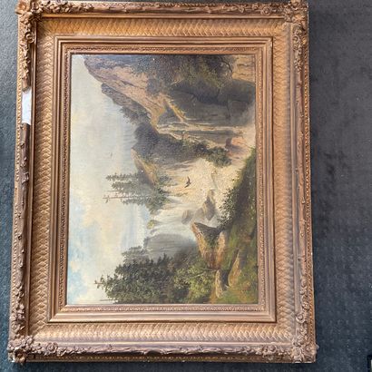 Johann Joseph JANSEN (1829-1905)
Waterfall...