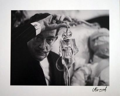 Salvador Dalí, 1955
silver gelatin print,...