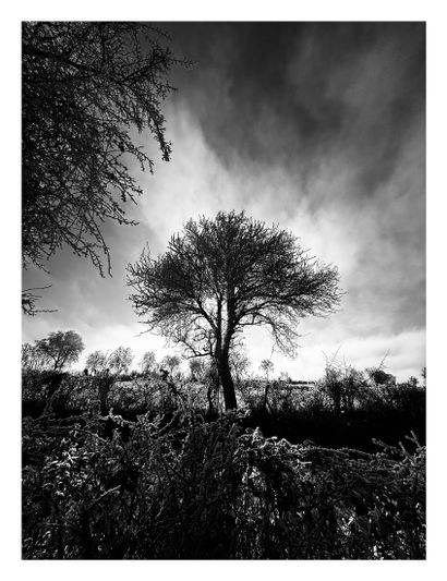 Morning mist 1998
Print on Baryta silver...