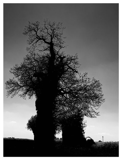 Sheet 1
Print on Hahnemühle Bright White...
