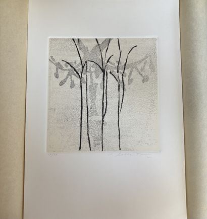 DELLA Tore
Illustrated book
Engraving 47/99
34×24...