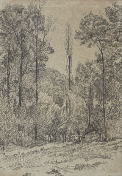 MODERN SCHOOL
Undergrowth
Charcoal, unidentified...