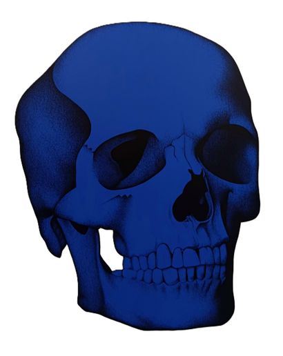 JULIEN MARTELLO (1973)
Vanité bleue sur fond...