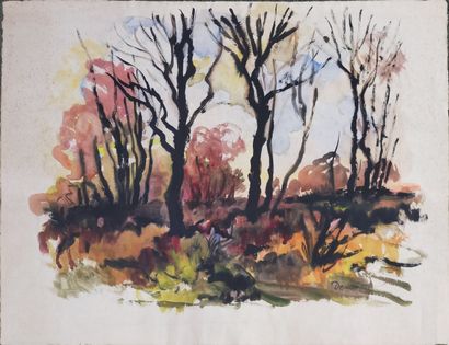 René DEMEURISSE (1895-1961)
Natures mortes...