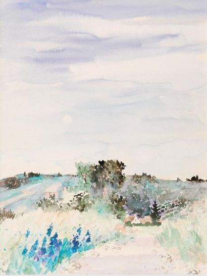 GEORGES HOSOTTE (1936)
«Route d'Irancy. Les...