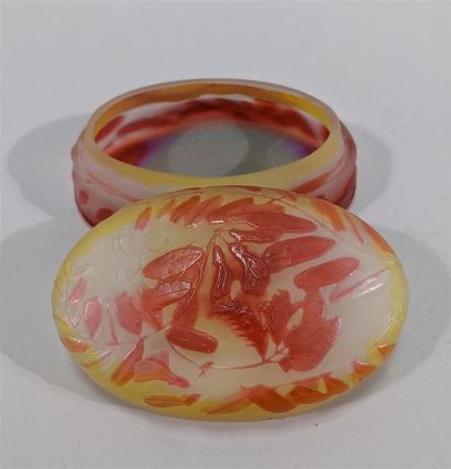 Émile GALLÉ (1846-1904) Bonbonnière ovale...