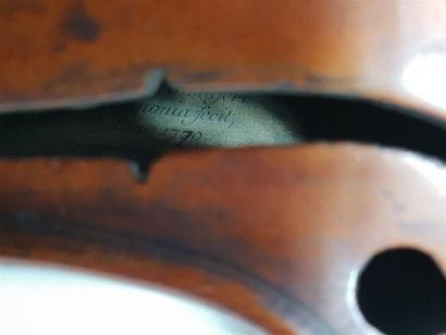 Violon entier, la table en épicéa et le fond...