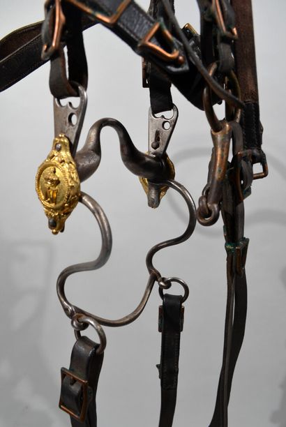 BRIDE en cuir noir. Boucles et passants en...