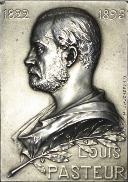 Société médicale vétérinaire, plaque par...